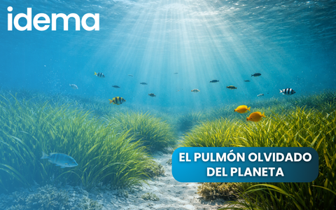 pulmon_olvidado_delplaneta_01