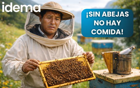 sinabejas_sincomida_1