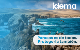 paracas_de_todos_01
