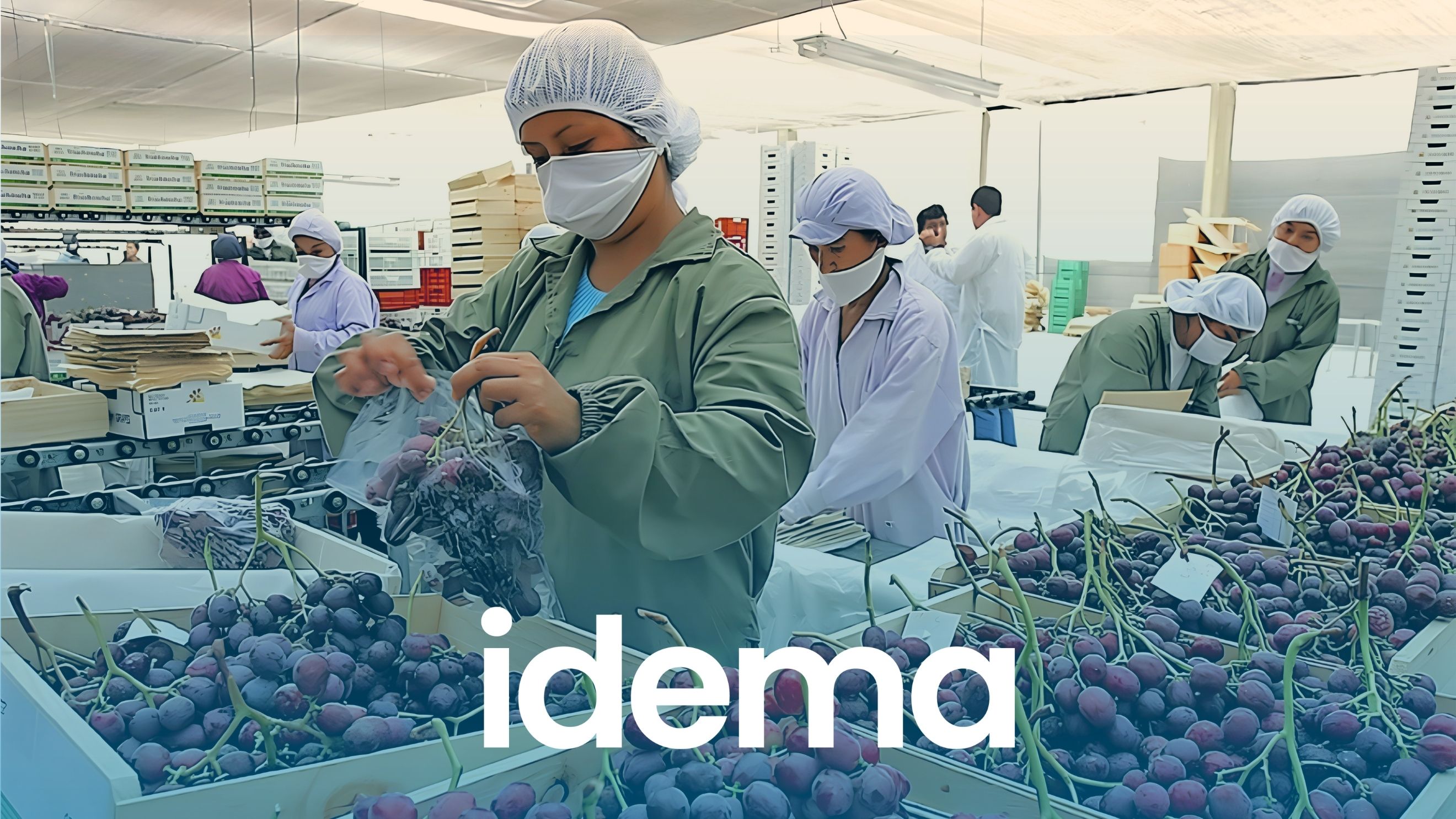 agroexportacion_imagen_01