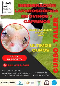 Un paso hacia la innovación en la reproducción ovina y caprina: Curso Taller de Inseminación Laparoscópica en el Instituto Idema