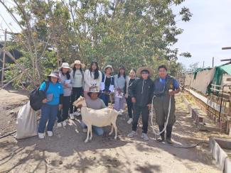 Caprinos Dr. Illanez Idema