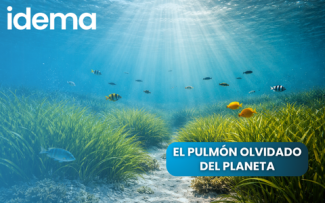 pulmon_olvidado_delplaneta_01