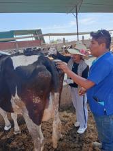 Dia de Campo Establo